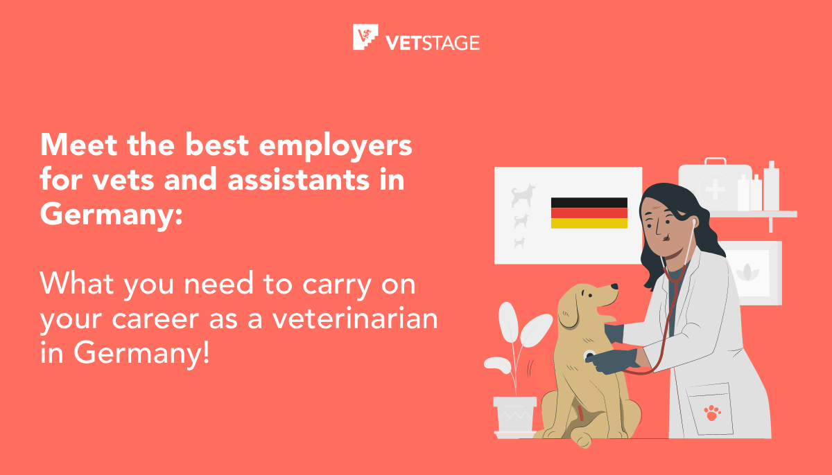 VetStage.de Working as a Vet in Germany